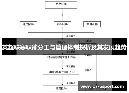 英超联赛职能分工与管理体制探析及其发展趋势